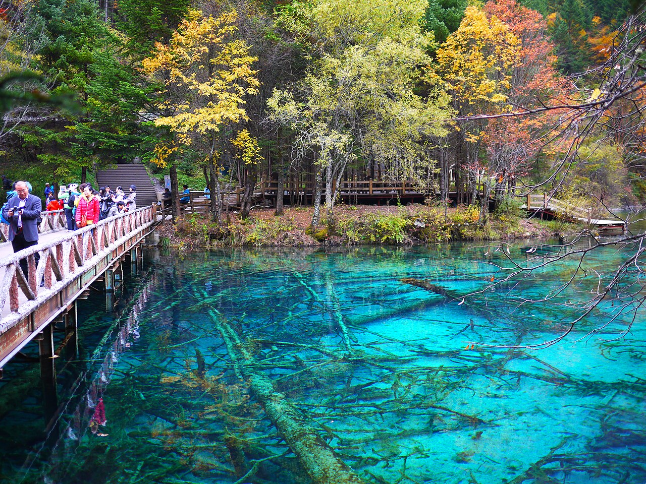 The turquoise lake at Jiuzhaigou, northern Sichuan
