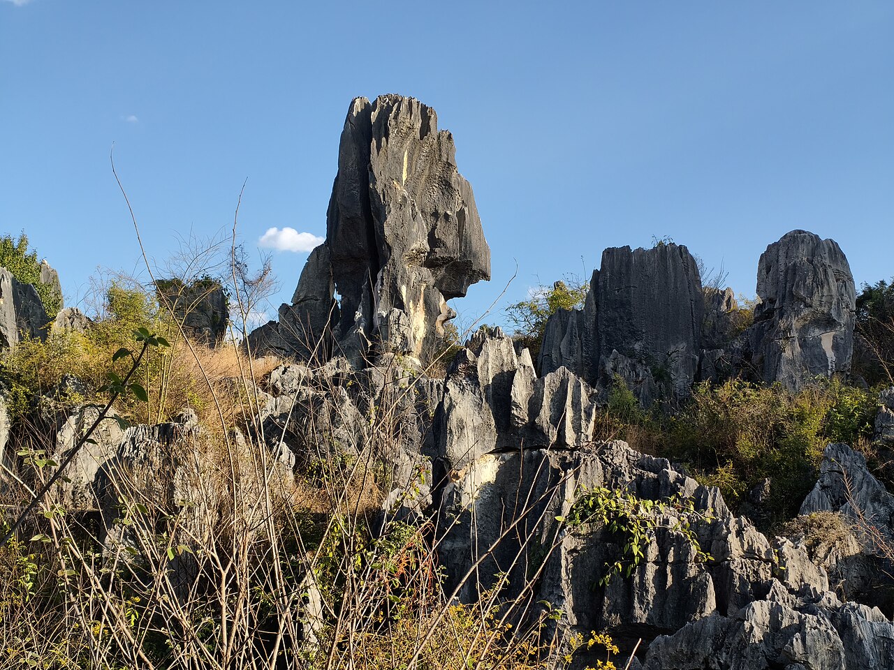 The Stone Forest, outside Kunming